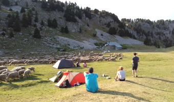 Séjours de randonnée et tourisme entre vercors et pays de savoie