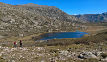 corse-en-train-vignette