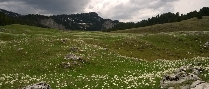 Bivouac dans le Vercors avec EcoRando